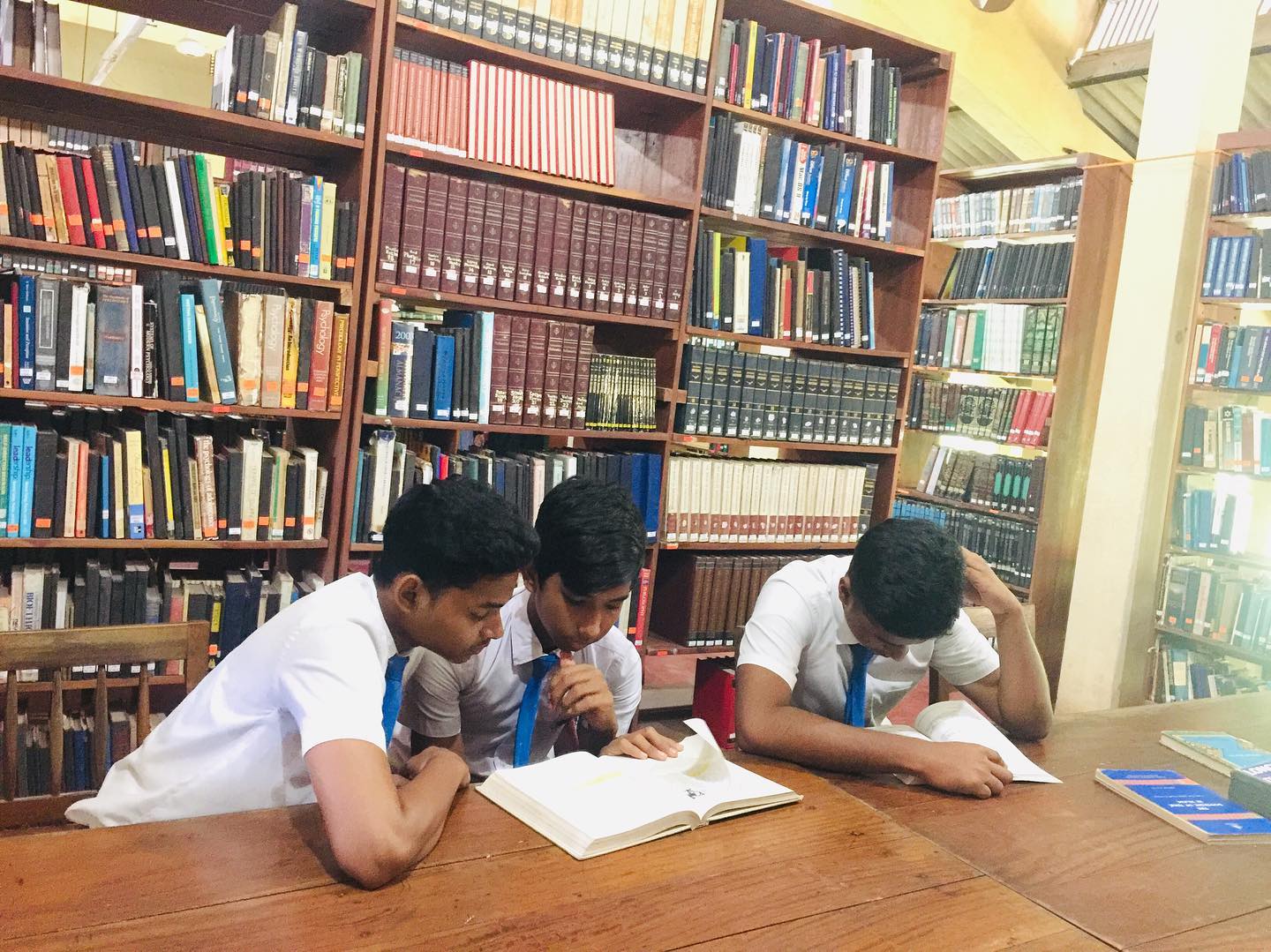 The Crucial Role of Extracurricular Activities in International Schools